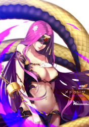 Rule 34 | 1girl, artist name, blindfold, blush, bondage outfit, breasts, chain, cjyoung, cleavage, copyright name, cuffs, elbow gloves, fate/grand order, fate/stay night, fate (series), gloves, gorgon (fate), headband, highres, large breasts, medusa (fate), medusa (rider) (fate), navel, purple hair, rider, shackles, smile, solo, white gloves