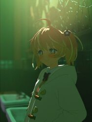 Rule 34 | + +, 1girl, 3d, against wall, ahoge, bathroom, blender (medium), blonde hair, blurry, blush, bow, bowtie, bright pupils, carrot, closed mouth, collared shirt, depth of field, flower, green theme, hair flower, hair ornament, highres, hood, hood down, hoodie, indoors, light smile, long sleeves, looking at viewer, medium hair, multicolored eyes, multicolored hair, open clothes, open hoodie, orange hair, pink eyes, purple eyes, red bow, red bowtie, rinne (rinrinne), rinrinne, rinrinne39 (artist), school uniform, shirt, sink, solo, split mouth, standing, streaked hair, two side up, upper body, virtual youtuber, wall, white hoodie, white pupils, white shirt