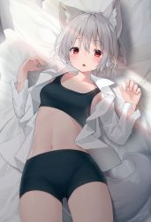Rule 34 | 1girl, absurdres, animal ears, bike shorts, black shorts, black tank top, breasts, collarbone, commentary request, grey hair, hair between eyes, highres, inubashiri momiji, looking at viewer, lying, mamemochi, navel, on back, open clothes, open mouth, open shirt, pantylines, red eyes, shirt, short hair, shorts, small breasts, solo, tail, tank top, thighs, touhou, white shirt, wolf ears, wolf tail