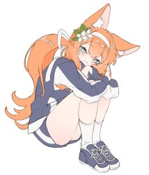 Rule 34 | absurdres, animal ear fluff, animal ears, blue archive, blue eyes, fox ears, hairband, halo, highres, long hair, mari (blue archive), mari (track) (blue archive), orange hair, pants, ponytail, sasami (cho ge n ki), shoes, simple background, sneakers, track suit, white background