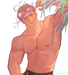 Rule 34 | 1boy, abs, absurdres, bara, eyewear on head, highres, large pectorals, long sideburns, male focus, muscular, muscular male, nipples, original, pectorals, plant, short hair, sideburns, solo, stomach, sunglasses, thick eyebrows, thick thighs, thighs, topless male, upper body, veins, veiny arms, xiedaifenshi (7329016845)