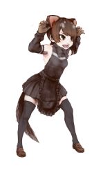 Rule 34 | 10s, 1girl, apron, armpits, bare shoulders, black apron, black shirt, black skirt, black thighhighs, brown eyes, brown footwear, brown gloves, brown hair, claw pose, detached sleeves, extra ears, fangs, frilled apron, frills, from side, full body, gloves, hands up, ise (0425), kemono friends, looking afar, open mouth, shirt, shoes, short hair, sidelocks, simple background, single horizontal stripe, skirt, sleeveless, sleeveless shirt, solo, standing, swept bangs, tasmanian devil (kemono friends), tasmanian devil ears, tasmanian devil tail, thighhighs, tsurime, v-shaped eyebrows, waist apron, white background, zettai ryouiki