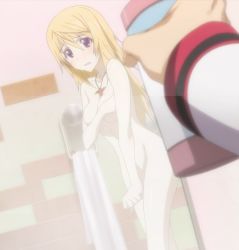 Rule 34 | 10s, blonde hair, breasts, charlotte dunois, covering privates, covering breasts, infinite stratos, jewelry, long hair, necklace, nude, nude cover, purple eyes, shower, steam, stitched, third-party edit
