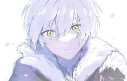 Rule 34 | 1boy, byoc12, fumetsu no anata e, fur trim, fushi, green eyes, grey hair, hair between eyes, highres, light smile, looking at viewer, male focus, parted lips, portrait, short hair, simple background, solo, white background, wind