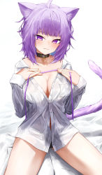 Rule 34 | 1girl, ahoge, animal collar, animal ears, black collar, black panties, blush, breast pocket, breasts, cat ears, cat girl, cat tail, cleavage, closed mouth, collar, collarbone, collared shirt, commentary request, dress shirt, eyes visible through hair, fingernails, head tilt, highres, holding, holding ribbon, hololive, looking at viewer, medium breasts, nekomata okayu, nekomata okayu (oversized shirt), no bra, no pants, panties, partially unbuttoned, pocket, purple eyes, purple hair, purple ribbon, ribbon, shirt, short hair, sidelocks, sitting, sleeves past wrists, smile, solo, tail, toi1et paper, underwear, virtual youtuber, white background, white shirt