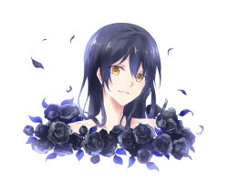 Rule 34 | 10s, 1girl, absurdres, black flower, blue hair, flower, hair between eyes, head tilt, highres, long hair, looking at viewer, love live!, love live! school idol project, parted lips, petals, portrait, simple background, smile, solo, sonoda umi, upper body, walluka, white background, yellow eyes