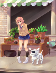 Rule 34 | 1girl, arms behind back, awning, black socks, blue skirt, breasts, brick wall, cactus, cigarette, collarbone, day, dog, fern, flower, hair between eyes, highres, ika (ika-hime), kneehighs, leaning forward, looking at viewer, medium breasts, miniskirt, mouth hold, neckerchief, non-humanoid robot, original, outdoors, pigeon-toed, pink hair, pink neckerchief, plant, pleated skirt, potted plant, red flower, red rose, robot, robot animal, rose, sailor collar, school uniform, serafuku, shelf, shoes, short hair, sidewalk, skirt, smoking, sneakers, socks, solo, stool, storefront, watering can, window, yellow eyes