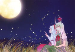 Rule 34 | 2girls, black sky, bow, closed mouth, collared dress, commentary, dress, ex-keine, feet out of frame, fireflies, fujiwara no mokou, full moon, grass, green dress, green hair, hair bow, horn bow, horn ornament, horns, kamishirasawa keine, kanon (rsl), long bangs, long hair, long sleeves, looking afar, medium bangs, moon, multicolored hair, multiple girls, neckerchief, night, outdoors, pants, puffy short sleeves, puffy sleeves, red bow, red eyes, red neckerchief, red pants, shirt, short sleeves, sidelocks, sitting, sky, smile, star (sky), starry sky, touhou, two-tone hair, white bow, white hair, white shirt
