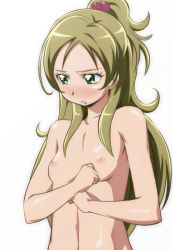 Rule 34 | 10s, 1girl, blush, breasts, brown hair, completely nude, eyelashes, green eyes, green hair, hair bobbles, hair ornament, half updo, long hair, matching hair/eyes, minamino kanade, nipples, nude, oimanji, precure, simple background, small breasts, solo, suite precure, white background