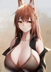 Rule 34 | 1girl, alternate breast size, animal ear fluff, animal ears, arknights, bare shoulders, bikini, blush, breasts, brown background, brown bikini, brown hair, cleavage, closed mouth, collarbone, fox ears, franka (arknights), gradient background, grey background, highres, hug, krirk, long hair, long sleeves, looking at viewer, open clothes, solo, swimsuit, upper body, yellow eyes