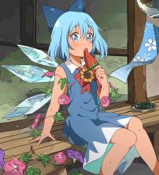 Rule 34 | 1girl, arm support, blue bow, blue dress, blue eyes, blue hair, blush, bow, cirno, collared dress, dress, eating, feet out of frame, flat chest, flower, food, hair between eyes, hair bow, hand up, highres, holding, holding food, ice, ice wings, long dress, neck ribbon, open mouth, plant, popsicle, red ribbon, ribbon, sasaki sakiko, sleeveless, sleeveless dress, sliding doors, solo, sunflower, sweat, tan, tanned cirno, touhou, veranda, vines, watermelon bar, wings, wooden floor