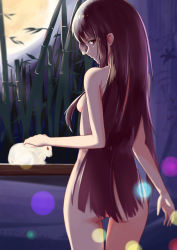 Rule 34 | 1girl, absurdres, animal, ass, bamboo, bamboo forest, blurry, breasts, brown hair, rabbit, forest, full moon, hider kitsuka, highres, houraisan kaguya, long hair, looking at viewer, looking back, moon, nature, night, nude, profile, red eyes, small breasts, smile, solo, touhou