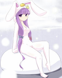 Rule 34 | 1girl, animal costume, animal ears, coo (coonekocoo), crescent, crescent moon, female focus, highres, long hair, moon, patchouli knowledge, purple eyes, purple hair, rabbit costume, rabbit ears, solo, touhou