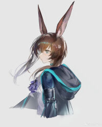 Rule 34 | 1girl, absurdres, amiya (arknights), animal ears, arknights, ascot, black jacket, blue collar, blue eyes, blue jacket, brown hair, chinese commentary, closed mouth, collar, commentary request, cropped torso, floating hair, grey background, hair between eyes, highres, hood, hood down, hooded jacket, jacket, long hair, long sleeves, looking to the side, purple ascot, rabbit ears, rabbit girl, shirt, simple background, sketch, solo, white shirt, you zhiqi de