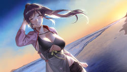 Rule 34 | 1girl, arm at side, arm up, backlighting, beach, black dress, black hair, black shorts, blush, breasts, chain chronicle, character request, cleavage, closed eyes, commentary request, commission, deras, dress, dutch angle, facing viewer, grin, hand in own hair, large breasts, outdoors, pixiv commission, ponytail, ribbon, sand, short shorts, shorts, shrug (clothing), smile, solo, sunrise, water, wind, yellow ribbon