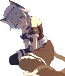 Rule 34 | 1boy, alternate costume, animal ears, apron, black thighhighs, blue eyes, blush, bow, bowtie, cat boy, cat ears, cat tail, crossdressing, detached collar, enmaided, great kichi, ledo vassar, looking at viewer, maid, maid apron, maid headdress, male focus, pop-up story, silver hair, simple background, solo, tail, thighhighs, waist apron, white background