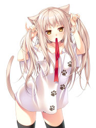 Rule 34 | 1girl, animal ears, black thighhighs, bunching hair, cat ears, cat tail, cocoa (cafe-hotcocoa), long hair, mouth hold, naked shirt, original, paw print, shirt, silver hair, simple background, solo, tail, thighhighs, two side up, white background, yellow eyes