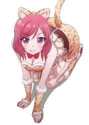 Rule 34 | 10s, 1girl, all fours, animal ears, animal print, arm warmers, ayumu-k, belt, blush, bow, bowtie, breasts, cleavage, clenched hands, fake animal ears, fang, frills, fur-trimmed legwear, fur trim, highres, kneehighs, kneeling, leopard ears, leopard print, leopard tail, looking at viewer, love live!, love live! school idol festival, love live! school idol project, medium breasts, nishikino maki, paw pose, purple eyes, red bow, red bowtie, red hair, shadow, smile, socks, solo, tail, white background