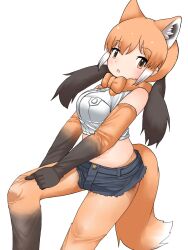 Rule 34 | 1girl, adjusting clothes, adjusting legwear, animal ears, bare shoulders, blush, bow, bowtie, brown gloves, brown hair, brown pantyhose, cutoffs, denim, denim shorts, elbow gloves, extra ears, gloves, gradient gloves, gradient legwear, hair between eyes, highres, kemono friends, looking at viewer, maned wolf (kemono friends), midriff, multicolored hair, navel, orange bow, orange bowtie, orange eyes, orange gloves, orange hair, orange pantyhose, pantyhose, shirt, short shorts, shorts, sidelocks, solo, tail, twintails, two-tone gloves, two-tone pantyhose, uf34a, white shirt, wolf ears, wolf girl, wolf tail