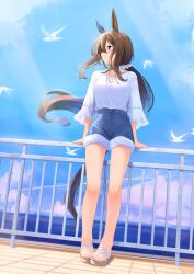 Rule 34 | 1girl, admire vega (umamusume), animal ears, bird, blue shorts, blurry, blush, breasts, brown hair, closed mouth, cloud, contrail, depth of field, full body, hair between eyes, hair ornament, hair scrunchie, hair tie, highres, horizon, horse ears, horse girl, horse tail, katuko deluxe, long hair, long sleeves, looking to the side, low ponytail, outdoors, pink eyes, railing, sandals, scrunchie, seagull, shirt, shirt tucked in, shorts, sideways mouth, small breasts, smile, solo, standing, sunlight, tail, umamusume, water, white shirt