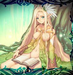 Rule 34 | 1girl, blonde hair, blue eyes, blush, book, breasts, celestia, elf, eternal forest&#039;s chanting, forest, jpeg artifacts, long hair, nature, nipples, no panties, nude, nude filter, pointy ears, sega, shining (series), shining wind, smile, solo, third-party edit, tony taka