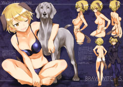 Rule 34 | 1girl, absurdres, animal ears, ass, barefoot, blonde hair, blue bra, blue panties, bra, brave witches, breasts, breasts apart, character name, cleavage, copyright name, crossed legs, dog, dog ears, dog tail, feet, hands on feet, highres, kurashima tomoyasu, large breasts, military, military uniform, multiple views, navel, nipples, one eye closed, orange eyes, panties, pantyhose, scan, shiny skin, short hair, sitting, smile, tail, toes, underwear, underwear only, uniform, waltrud krupinski, world witches series
