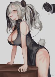 Rule 34 | 1boy, 1girl, animal ears, arknights, black collar, breasts, cleavage, cleavage cutout, clothing cutout, collar, feater (arknights), grey background, grey hair, highres, large breasts, leash, looking at viewer, nashidrop, open mouth, orange eyes, panda ears, short hair, simple background, solo focus, twintails