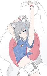 Rule 34 | 1girl, 2022 fifa world cup, absurdres, animal ear fluff, animal ears, arms up, blue archive, blue eyes, blue shirt, blush, breasts, cowboy shot, cross hair ornament, flag, grey hair, hair ornament, highres, holding, holding flag, japanese flag, looking at viewer, masabodo, medium breasts, midriff, mismatched pupils, navel, parted lips, shiroko (blue archive), shirt, short shorts, shorts, simple background, smile, solo, standing, sticker on face, tied shirt, white background, white shorts, world cup