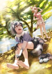 Rule 34 | 2girls, absurdres, animal ears, arm up, bare legs, barefoot, blonde hair, bow, bowtie, unworn clothes, commentary request, common raccoon (kemono friends), dappled sunlight, day, dutch angle, elbow gloves, fang, feet, fennec (kemono friends), fox ears, fox girl, fox tail, full body, fur collar, furrowed brow, gloves, grass, grey hair, hand on own hip, highres, kemono friends, knees up, leaning forward, looking afar, medium hair, miniskirt, multiple girls, on ground, open mouth, outdoors, outstretched arm, parted lips, pink sweater, purple sweater, raccoon ears, raccoon girl, raccoon tail, savannah, shade, shoes, unworn shoes, short-sleeved sweater, short hair, short sleeves, sitting, skin fang, skirt, soles, standing, sunlight, suou makoto, sweater, tail, thighhighs, toes, tree, tree shade, yellow eyes, zettai ryouiki