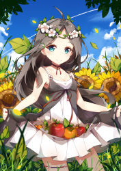 Rule 34 | 1girl, ahoge, apple, blue eyes, blurry, blush, breasts, brown hair, cleavage, closed mouth, collarbone, cowboy shot, dango remi, day, depth of field, dress, flower, food, fruit, grass, head tilt, head wreath, highres, leaf, medium breasts, neck ribbon, original, outdoors, parted bangs, plant, red ribbon, ribbon, skirt basket, skirt hold, sky, sleeveless, sleeveless dress, smile, solo, sunflower, white dress