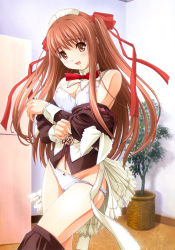 Rule 34 | 1girl, apron, blouse, bow, bow panties, bra, breasts, brown eyes, brown hair, cameltoe, cleavage, clothes pull, covered erect nipples, headdress, highres, kazami yui, lace, lace-trimmed bra, lace-trimmed panties, lace trim, lingerie, long hair, maid, maid apron, medium breasts, miniskirt, nekonyan, panties, parfait chocolat second brew, red hair, ribbon, shirt, skirt, skirt pull, solo, standing, thighhighs, twintails, underwear, undressing, white bra, white panties