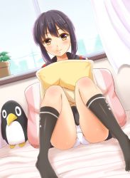 Rule 34 | 10s, 1girl, anchor print, bedroom, black hair, black skirt, black socks, brown eyes, closed mouth, curtains, dutch angle, failure penguin, fubuki (kancolle), hair ornament, hairclip, indoors, kantai collection, kneehighs, knees up, looking at viewer, md5 mismatch, hugging object, on bed, ookawa wataru, panties, pantyshot, pillow, pillow hug, plant, pleated skirt, potted plant, remodel (kantai collection), school uniform, serafuku, sitting, skirt, smile, socks, solo, spread legs, thighs, underwear, white panties, window