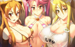 Rule 34 | 3girls, animal ears, areola slip, bare shoulders, bikini, blonde hair, blush, breasts, brown eyes, brown hair, cat ears, cleavage, clothes, covered erect nipples, elbow gloves, glasses, gloves, highres, highschool of the dead, huge breasts, impossible clothes, impossible swimsuit, long hair, marikawa shizuka, micro bikini, miyamoto rei, multiple girls, navel, one-piece swimsuit, pink hair, red eyes, school swimsuit, slingshot swimsuit, smile, swimsuit, takagi saya, twintails, wallpaper, white school swimsuit, white one-piece swimsuit, yellow eyes, yn red