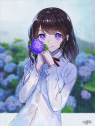 Rule 34 | 1girl, blurry, blurry background, blush, bra visible through clothes, breasts, brown hair, closed mouth, collared shirt, commentary request, depth of field, flower, gloves, hands up, holding, holding flower, hydrangea, long hair, long sleeves, looking at viewer, medium breasts, original, purple eyes, purple gloves, rain, revision, sanbasou, school uniform, see-through, shirt, signature, smile, solo, wet, wet clothes, wet shirt, white shirt