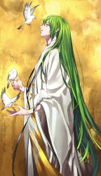 Rule 34 | 1boy, androgynous, bird, bird on hand, enkidu (fate), fate/strange fake, fate (series), fingernails, from side, green eyes, green hair, highres, long hair, long sleeves, male focus, robe, solo, standing, tenobe, very long hair, wide sleeves, yellow background
