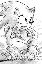 Rule 34 | 1boy, commentary, crosshatching, fighting stance, furry, furry male, gloves, gomiisan, greyscale, hatching (texture), hedgehog, male focus, monochrome, non-web source, open mouth, shoes, sketch, smile, smoke, sneakers, solo, sonic (series), sonic the hedgehog, tail