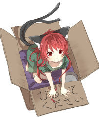 Rule 34 | 1girl, :&lt;, animal ears, bad id, bad pixiv id, barefoot, blanket, bowl, box, cardboard box, cat ears, cat tail, downblouse, dress, for adoption, green dress, highres, in box, in container, kaenbyou rin, koma midori, looking at viewer, pet bowl, puffy short sleeves, puffy sleeves, red eyes, red hair, short sleeves, solo, tail, touhou