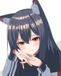 Rule 34 | 1girl, animal ear fluff, animal ears, arknights, black capelet, black hair, blush, capelet, closed mouth, ear piercing, highres, kuwan4971, long hair, looking at viewer, orange eyes, own hands together, piercing, simple background, smile, solo, texas (arknights), upper body, white background, wolf ears