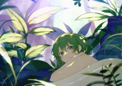 Rule 34 | 1girl, achiki, blurry, blurry foreground, closed mouth, commentary, dappled sunlight, depth of field, green eyes, green hair, green theme, hair between eyes, looking at viewer, looking back, lying, nude, on stomach, original, plant, short hair, solo, sunlight, symbol-only commentary, under covers