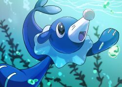 Rule 34 | :d, absurdres, air bubble, black eyes, blurry, blurry background, bright pupils, bubble, commentary request, creatures (company), game freak, gen 7 pokemon, highres, looking up, nintendo, no humans, open mouth, pokemon, pokemon (creature), popplio, roncha (shumokumoku), smile, solo, tongue, underwater, white pupils