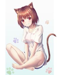 Rule 34 | 1girl, absurdres, animal ears, animal hands, blush, breasts, brown hair, cat ears, cat paws, cat tail, collarbone, commentary request, denim, denim shorts, highres, looking at viewer, original, red eyes, sarika, shirt, short hair, shorts, simple background, sitting, small breasts, smile, solo, tail, white shirt