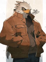Rule 34 | 1boy, absurdres, artist name, beak, bird boy, black eyes, black pants, breast pocket, brown background, brown feathers, brown jacket, brown shirt, closed mouth, collared jacket, colored sclera, feathers, furry, furry male, hands in pockets, high collar, highres, jacket, long sleeves, looking at viewer, male focus, open clothes, open jacket, original, pants, pocket, shirt, signature, simple background, solo, standing, tomochiso, upper body, yellow sclera