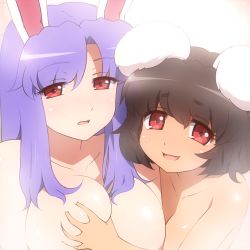 Rule 34 | 2girls, animal ears, blush, grabbing another&#039;s breast, breasts, brown hair, rabbit ears, collarbone, deep skin, grabbing, inaba tewi, large breasts, looking at viewer, multiple girls, open mouth, purple hair, red eyes, reisen udongein inaba, shirosato, smile, tan, tareme, topless, touhou, upper body, yuri