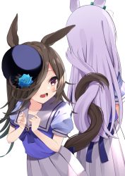 Rule 34 | 2girls, agaki anko, animal ears, blouse, blue flower, blue shirt, blush, bow, bowtie, brown hair, collarbone, commentary request, cowboy shot, facing away, facing viewer, flower, hair ornament, hair over one eye, hat, hat flower, highres, horse ears, horse girl, horse tail, intertwined tails, long hair, looking back, mejiro mcqueen (umamusume), mini hat, multiple girls, open mouth, pleated skirt, purple bow, purple bowtie, purple eyes, purple hair, purple headwear, purple shirt, rice shower (umamusume), school uniform, shirt, simple background, skirt, tail, umamusume, white background, white skirt
