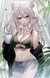 Rule 34 | 1girl, ahoge, animal ears, bare shoulders, black jacket, breasts, cleavage, clothing cutout, collarbone, cowboy shot, crop top, cup, dolphin shorts, drawstring, earrings, green eyes, green sports bra, grey shorts, hand up, highres, holding, holding cup, hololive, jacket, jewelry, kawachi rin, large breasts, lion ears, long hair, long sleeves, looking at viewer, midriff, mouth hold, navel, off shoulder, open clothes, open jacket, shishiro botan, short shorts, shorts, sleeveless, solo, sports bra, standing, stomach, thighs, twintails, underboob, underboob cutout, virtual youtuber, white hair