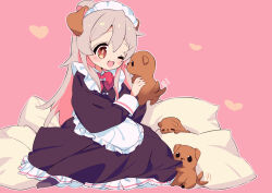 Rule 34 | 1girl, ;d, ahoge, animal, animal ears, apron, bow, bowtie, brown eyes, colored inner hair, commentary, dog, dog ears, full body, grey hair, heart, holding, holding animal, kemonomimi mode, maid, maid headdress, mochitsuki kagami, multicolored hair, one eye closed, onii-chan wa oshimai!, open mouth, outline, oyama mahiro, pillow, pink background, pink hair, puppy, red bow, red bowtie, simple background, sitting, smile, solo, tail, tail wagging, tongue, tongue out, two-tone hair, waist apron, white outline
