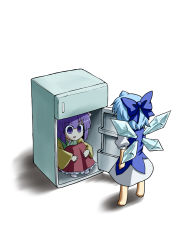 Rule 34 | 2girls, blue dress, blue hair, bow, cirno, dress, empty eyes, full body, hair bow, hieda no akyuu, hugging own legs, in container, in refrigerator, kousei (public planet), long sleeves, multiple girls, open mouth, puffy sleeves, purple eyes, purple hair, refrigerator, shirt, short hair, short sleeves, simple background, sitting, skirt, smile, standing, touhou, white background, white legwear, wide sleeves, wings