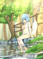 Rule 34 | 1girl, animal ears, barefoot, blue hair, bottomless, breasts, fuji-k, large breasts, light rays, looking down, md5 mismatch, open clothes, open shirt, original, resolution mismatch, see-through, shirt, short hair, sitting, sleeves rolled up, soaking feet, solo, source larger, sunbeam, sunlight, tail, tree, water, wolf ears, wolf tail