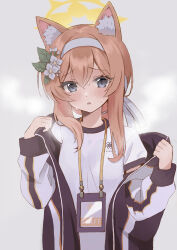 Rule 34 | 1girl, absurdres, animal ear fluff, animal ears, blue archive, blue eyes, blush, cat ears, flower, gym shirt, gym uniform, hair between eyes, hair flower, hair ornament, halo, headband, highres, jacket, long hair, long sleeves, looking at viewer, mari (blue archive), mari (track) (blue archive), official alternate costume, open clothes, open jacket, open mouth, orange hair, saibashi (develop komono), shirt, short sleeves, simple background, solo, sweat, track jacket, upper body, white background, white flower, white headband, white shirt, yellow halo