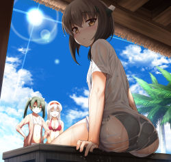 Rule 34 | 10s, 3girls, :d, ^ ^, arm support, ass, bikini, black bikini, blue sky, breasts, brown hair, cleavage, closed eyes, cloud, cloudy sky, day, closed eyes, fingernails, from below, front-tie bikini top, front-tie top, green hair, hair between eyes, hairband, hands on own hips, headgear, highres, hood, hooded jacket, hoodie, ipuu (el-ane koubou), jacket, kantai collection, large breasts, lens flare, long hair, looking at viewer, multiple girls, navel, open clothes, open hoodie, open jacket, open mouth, outdoors, palm tree, red bikini, see-through, shirt, short hair, shoukaku (kancolle), side-tie bikini bottom, sky, small breasts, smile, sunlight, sweat, swimsuit, taihou (kancolle), tree, twintails, v-shaped eyebrows, wet, wet clothes, wet shirt, white bikini, white hair, zuikaku (kancolle)